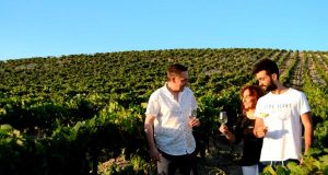 Viña La Constancia celebra su 50 aniversario con un amplio programa de experiencias enoturísticas Viña La Constancia