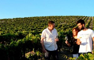 Viña La Constancia celebra su 50 aniversario con un amplio programa de experiencias enoturísticas Viña La Constancia