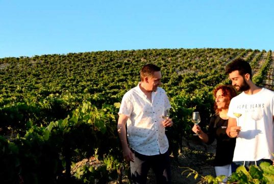 Viña La Constancia celebra su 50 aniversario con un amplio programa de experiencias enoturísticas Viña La Constancia