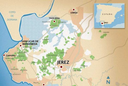 Trebujena, Chiclana y Chipiona reclaman el uso de contraetiquetas de la D.O. Jerez-Xérès-Sherry Marco de Jerez