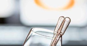 Catar o coleccionar, he ahí la cuestión Amontillado Fino de Bodegas Hijos de Agustín Blázquez en Copa Jerez 2019. Fotografía de Paco Barroso.