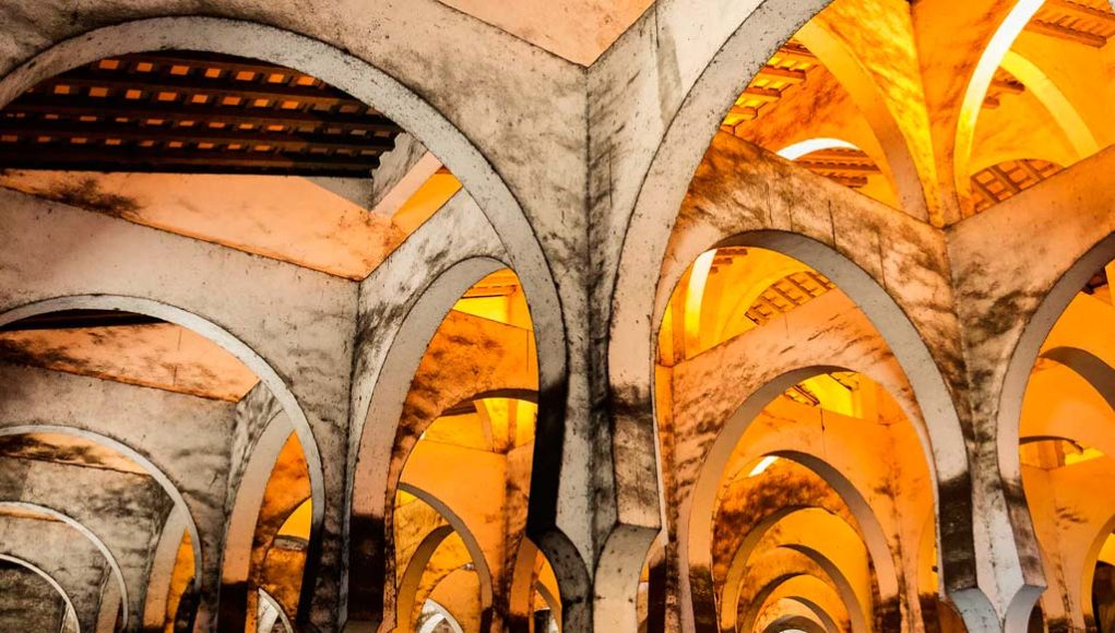 Bodega de La Mezquita (Bodegas Fundador) por Paco Barroso.