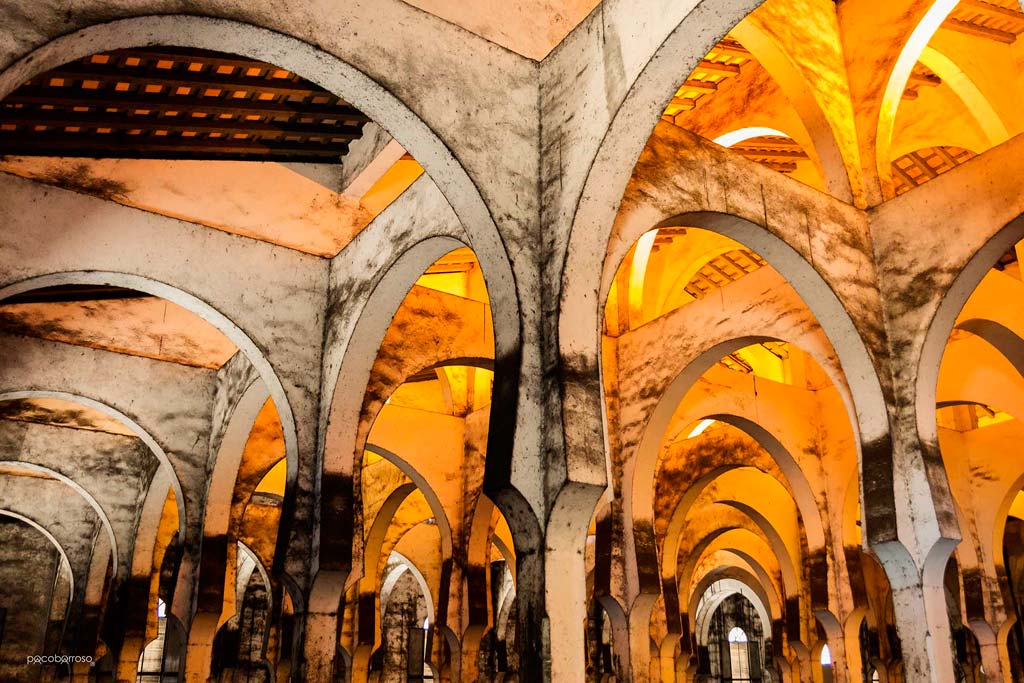 Bodega de La Mezquita (Bodegas Fundador) por Paco Barroso.