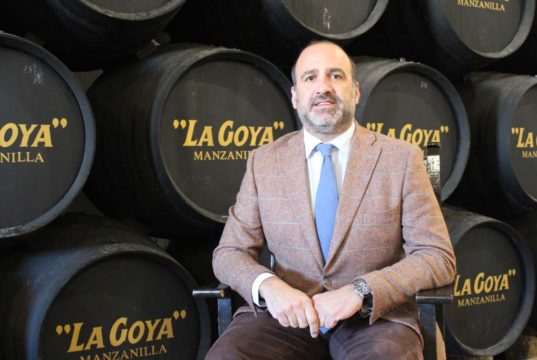Relevo en la dirección general de Delgado Zuleta Delgado Zuleta