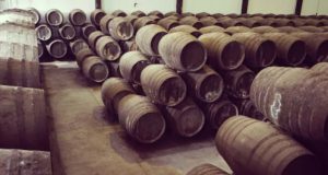 Bodegas Elías González por Inma Peña Bodegas Elías González