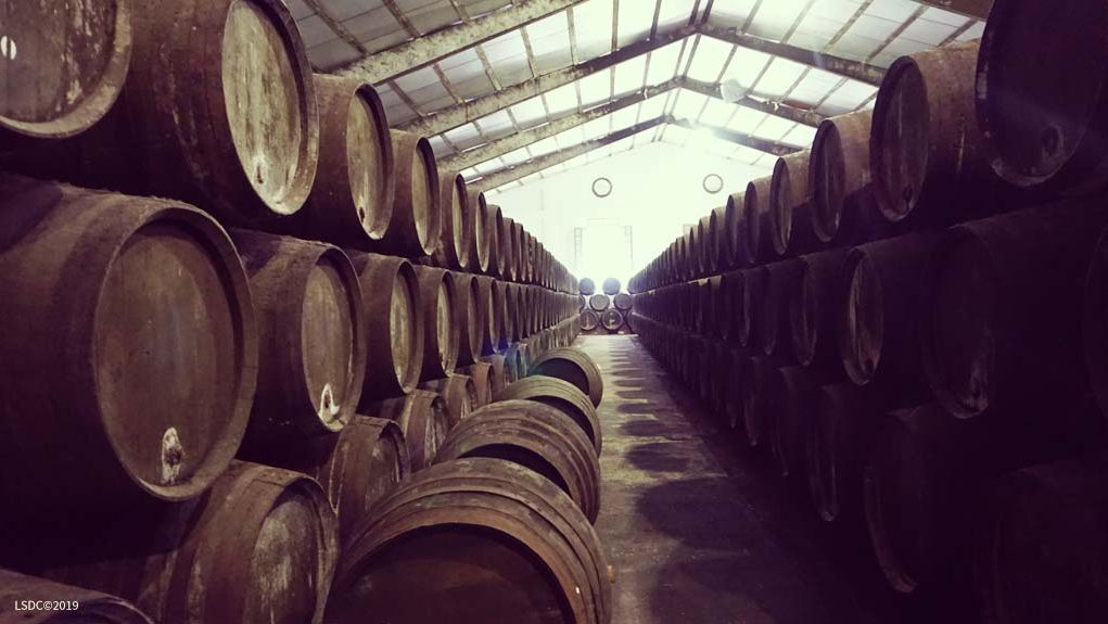 Bodegas Elías González