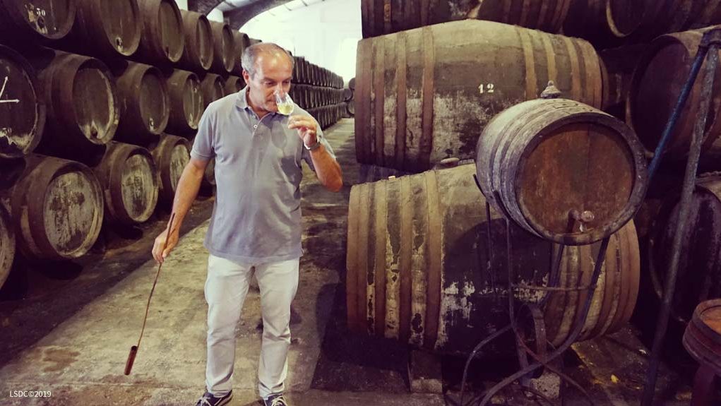 Santiago González de Bodegas Elías Gonzalez