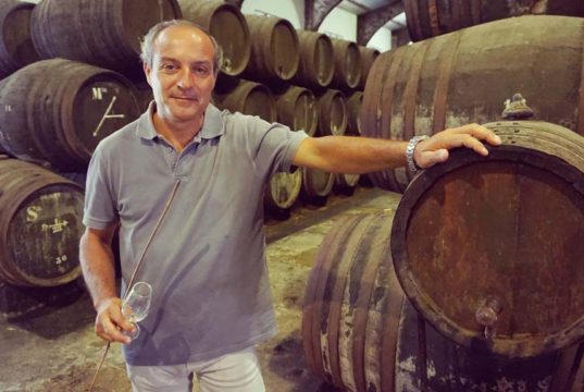 Santiago González de Bodegas Elías Gonzalez