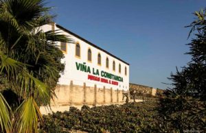 50 Aniversario de Viña la Constancia