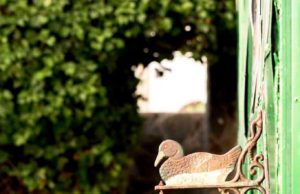 Los Pescuezos y Gallaretas del Jerez gallareta