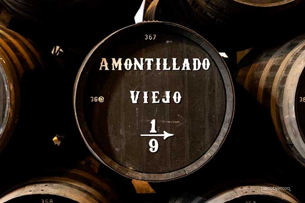 Bodegas Tradición