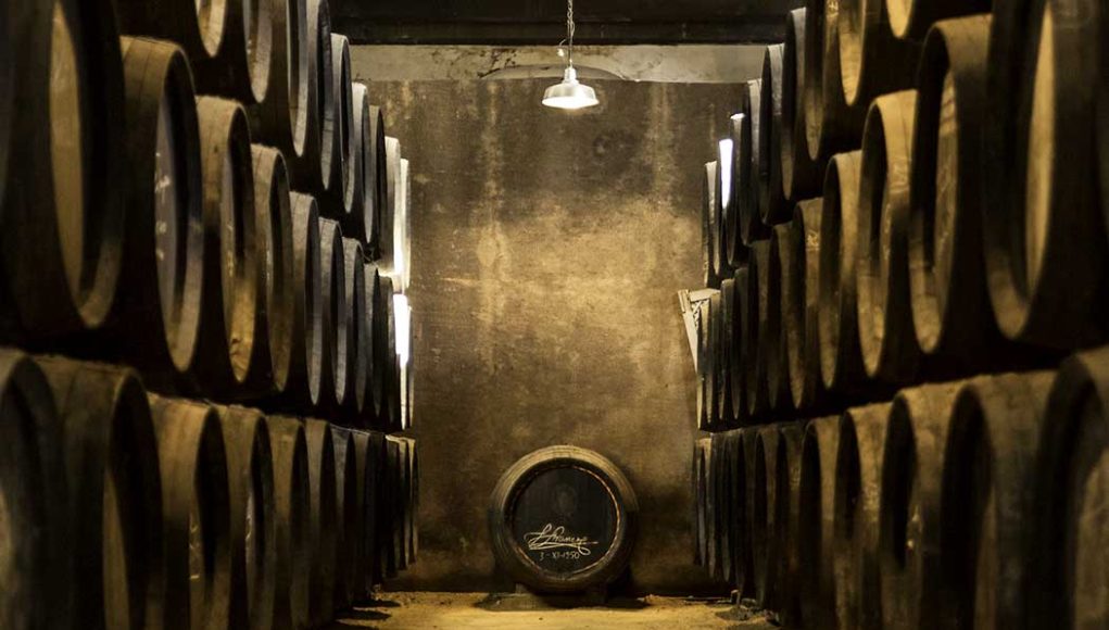 Bodegas González Byass por Paco Barroso