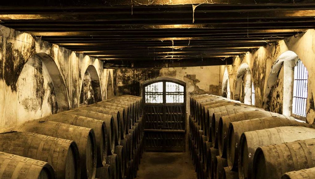 Bodegas González Byass por Paco Barroso