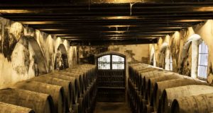 El Roble Americano de las Botas de Jerez Bodegas González Byass por Paco Barroso