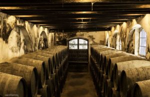 El Roble Americano de las Botas de Jerez Bodegas González Byass por Paco Barroso