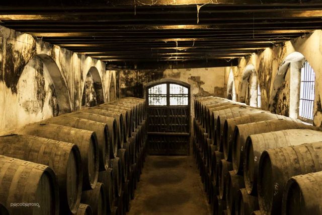 Bodegas González Byass por Paco Barroso