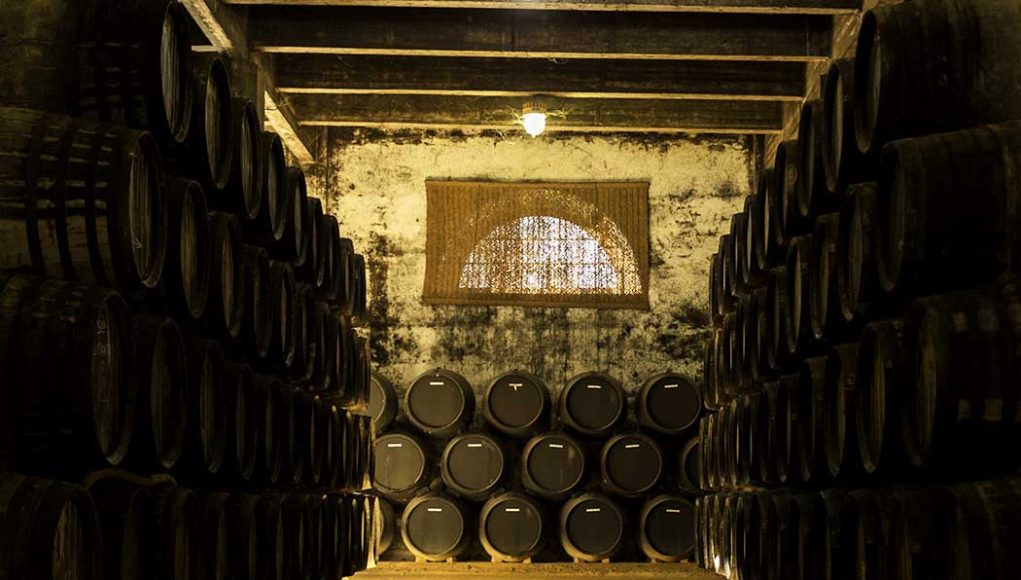 Bodegas González Byass por Paco Barroso