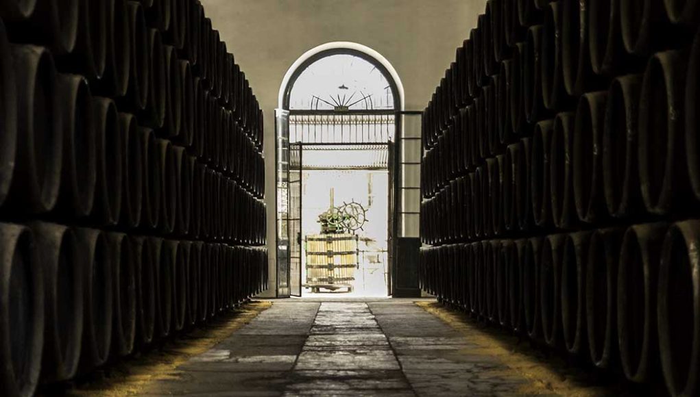 Bodegas González Byass por Paco Barroso