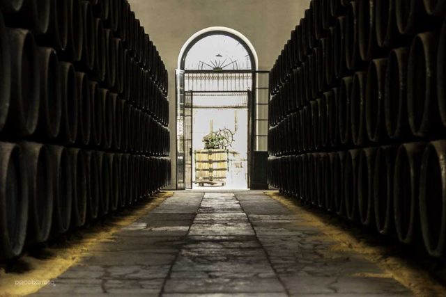 Bodegas González Byass por Paco Barroso