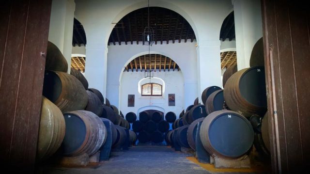 Bodegas Artesanas solicita el uso del alcohol para elaborar geles hidroalcohólicos