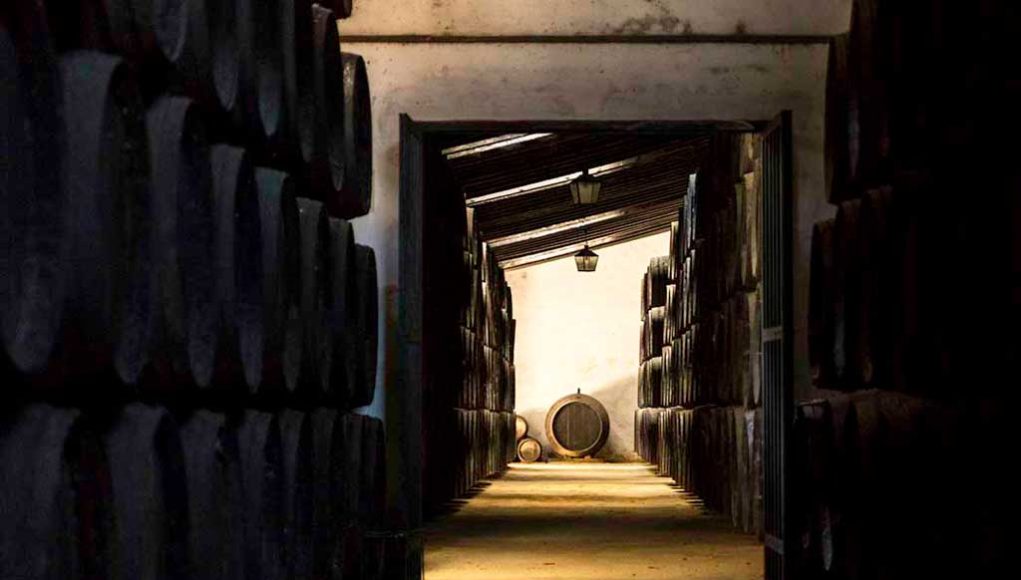 Bodegas Emilio Hidalgo, Jerez