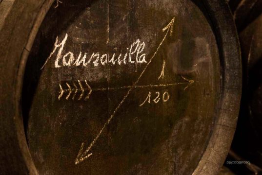 Comunicado de la Asociación Profesional de Bodegas Sanlúcar de Barrameda Sanlucar