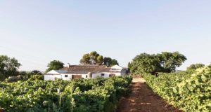 El Lagar de la Salud El Lagar de la Salud