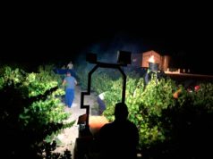 Bodegas El Monte inicia una vendimia nocturna histórica en Moriles Bodega El Monte