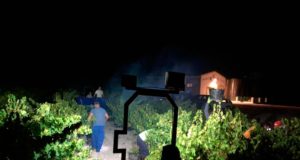 Bodegas El Monte inicia una vendimia nocturna histórica en Moriles Bodega El Monte