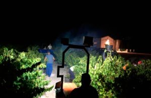 Bodegas El Monte inicia una vendimia nocturna histórica en Moriles Bodega El Monte