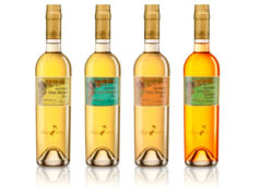 10 Años de la colección Tío Pepe Finos Palmas 10 Años de la colección Tío Pepe Finos Palmas