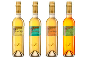 10 Años de la colección Tío Pepe Finos Palmas 10 Años de la colección Tío Pepe Finos Palmas