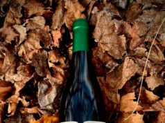 Montealbero, el primer vino de vendimia nocturna en Moriles Bodegas El Monte