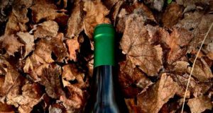 Montealbero, el primer vino de vendimia nocturna en Moriles Bodegas El Monte