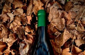 Montealbero, el primer vino de vendimia nocturna en Moriles Bodegas El Monte