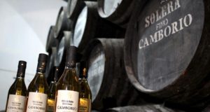 Camborio en Rama Seleccionado, un Fino de vieja escuela Camborio en Rama Seleccionado, un Fino de vieja escuela