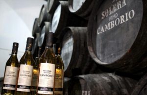 Camborio en Rama Seleccionado, un Fino de vieja escuela Camborio en Rama Seleccionado, un Fino de vieja escuela