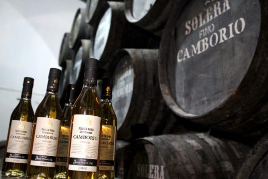 Camborio en Rama Seleccionado, un Fino de vieja escuela Camborio en Rama Seleccionado, un Fino de vieja escuela