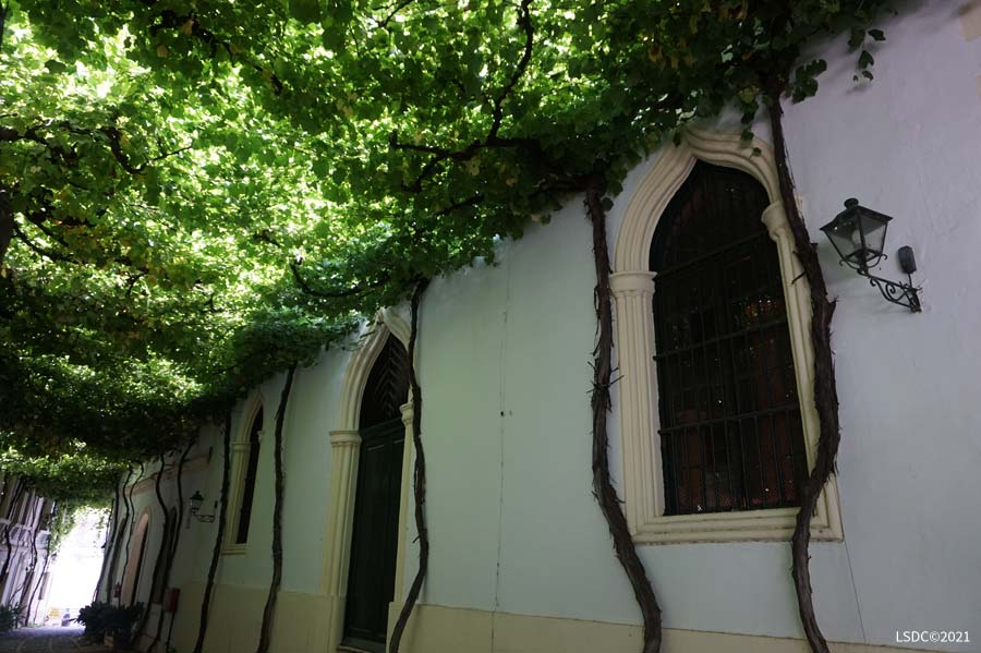 Arco conopial en Bodega La Constancia de González Byass