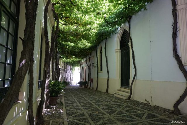 Arco conopial en Bodega La Constancia de González Byass