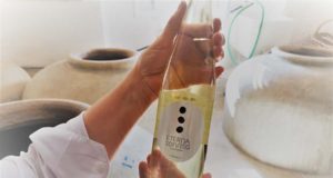 Winable impulsa el primer vino inclusivo Winable impulsa el primer vino inclusivo