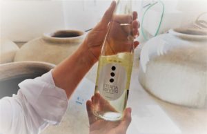 Winable impulsa el primer vino inclusivo Winable impulsa el primer vino inclusivo