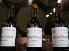 Soleras Especiales de Emilio Hidalgo: Jereces únicos Soleras especiales