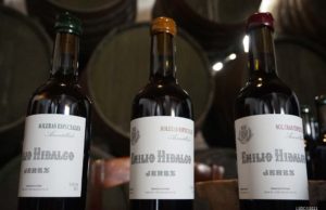 Soleras Especiales de Emilio Hidalgo: Jereces únicos Soleras especiales
