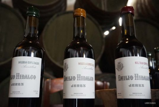 Soleras Especiales de Emilio Hidalgo: Jereces únicos Soleras especiales