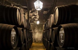 Viña Corrales y Bodega San Francisco Javier, de la Cepa a la Bota Viña Corrales y Bodega San Francisco Javier, de la Cepa a la Bota