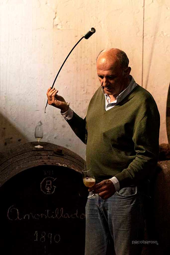 Bodegas faustino González