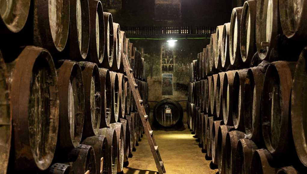 Bodegas Toro Albalá, tradición, naturalidad y autenticidad