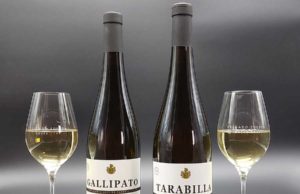 Delgado Zuleta revoluciona la crianza biológica con sus monovarietales de Moscatel y Pedro Ximénez Delgado Zuleta revoluciona la crianza biológica con sus monovarietales de Moscatel y Pedro Ximénez