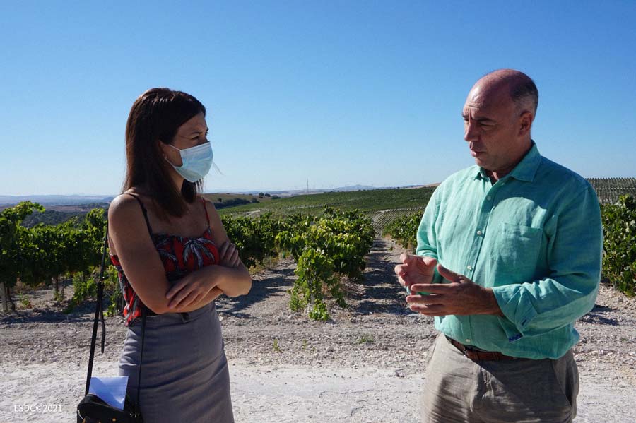 «El futuro del Vino de Jerez me parece esperanzador». Entrevistamos a Luis Flor, Presidente de La Sociedad Jerezana del Vino